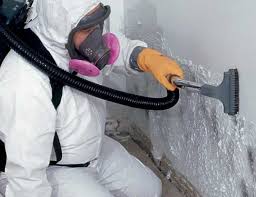 Best Comprehensive Air Testing for Mold Contaminants in Castle Pines, CO